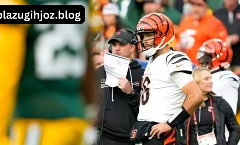 bengals vs green bay packers match player stats