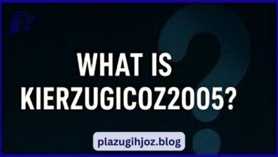 What Is Kierzugicoz2005